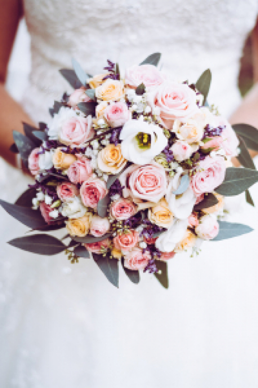 bloom-blooming-blossom-1424810_bc425acc83b0abdb8e08df1323e23e51.jpg